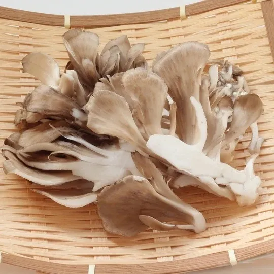 舞茸はなぜダイエットに向いているのか？ 血糖値・腸・食べ方まで全部話します