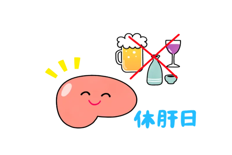ぽっこりお腹をなくしたいなら、まず肝臓を休ませろ